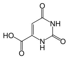 Vitamin B13 | Orotsyra